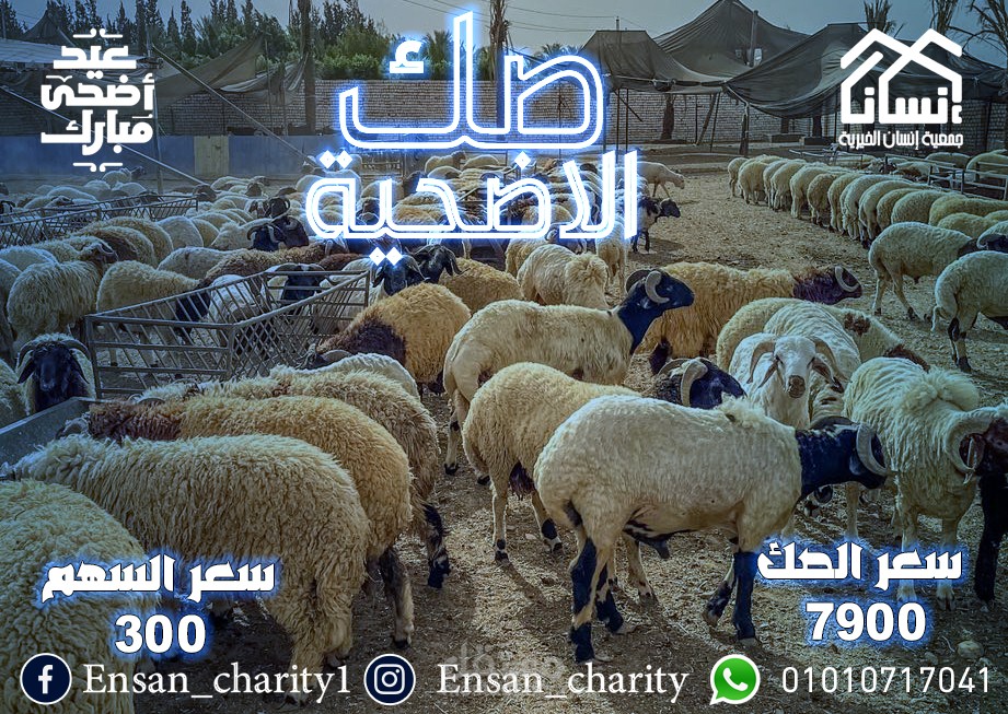 تصميم عيد الاضحي لجمعية انسان الخيرية