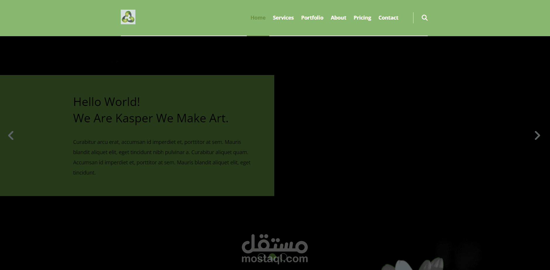 kasper website