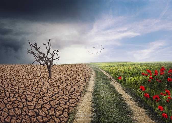 A subject concerning the climate emergency, discussing approaches for resolving it and strategies to address this issue.