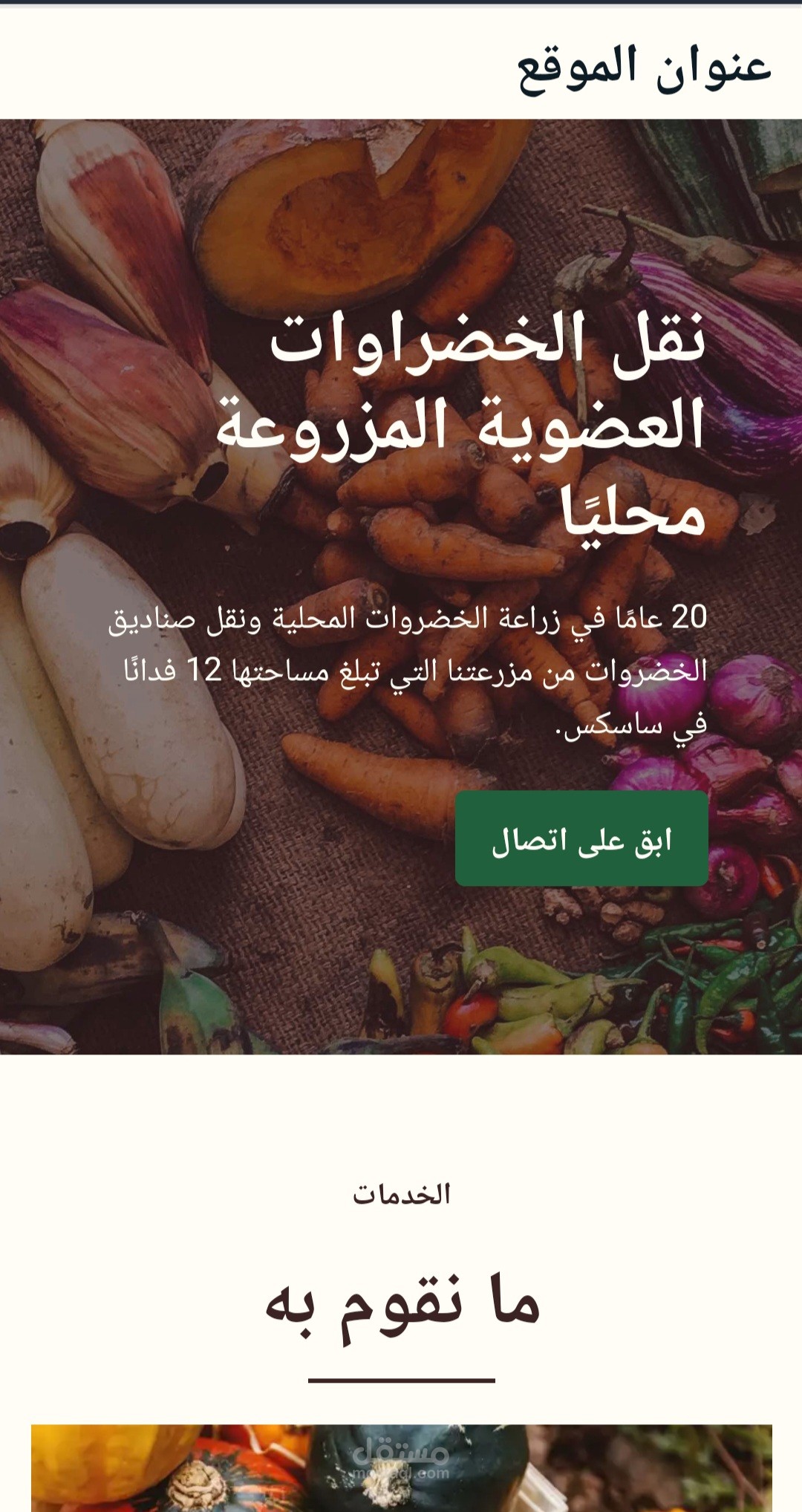 موقع ووردبريس احترافي