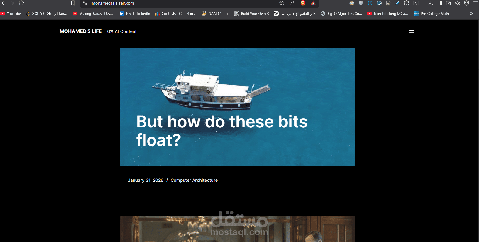 موقع شخصي احترافي
