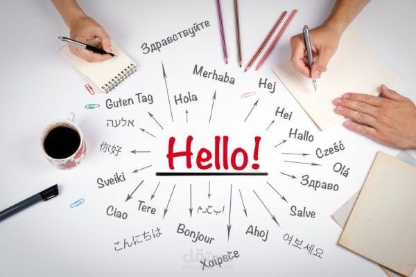 مترجم من الانجليزي والألمانية إلى العربية والعكس