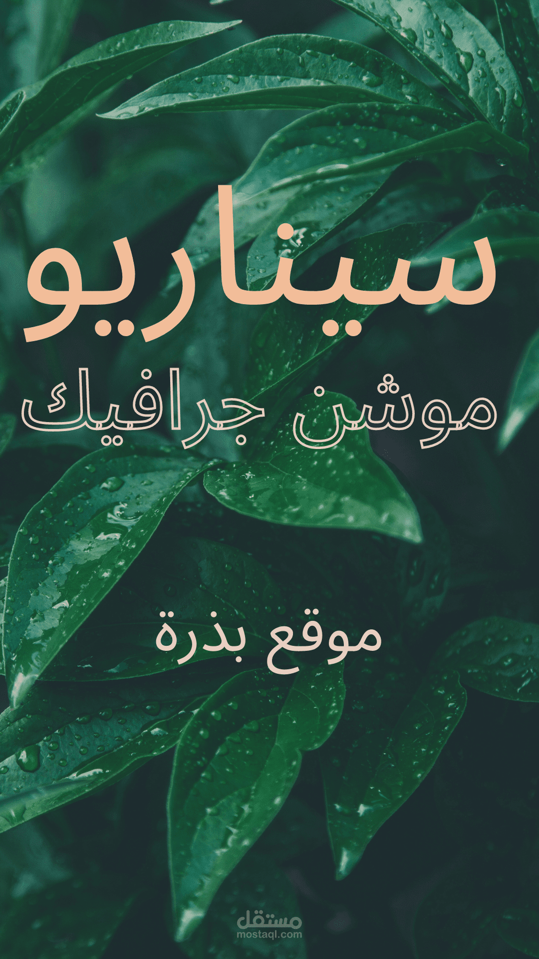 سيناريو (بذرة)