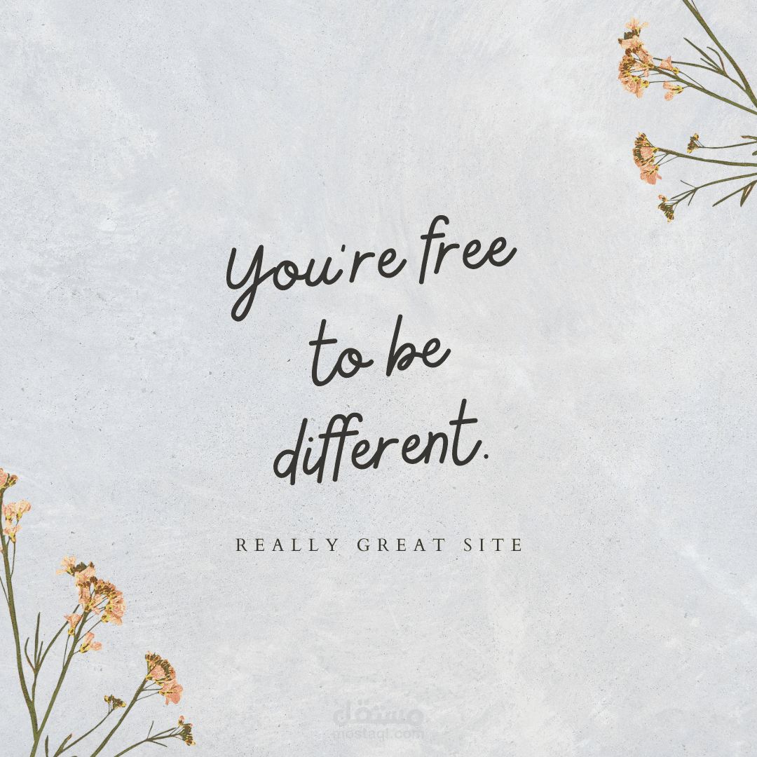 INSTA Stories, posts