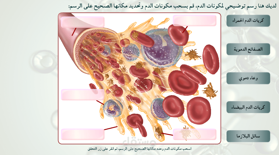 ملف علمي تفاعلي