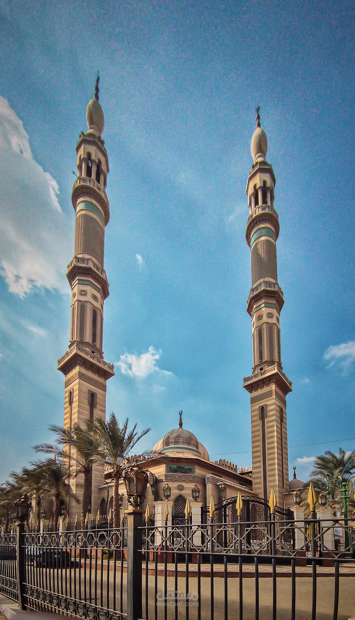تقييم محركات البحث