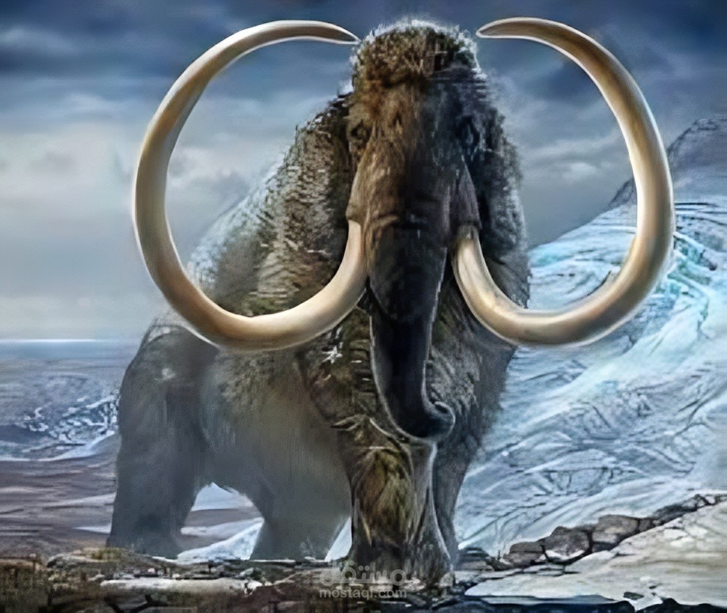 THE HISTORY OF ANIMALS ARISTOTLE