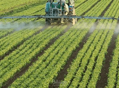 الزراعه في المملكه العربيه السعوديه