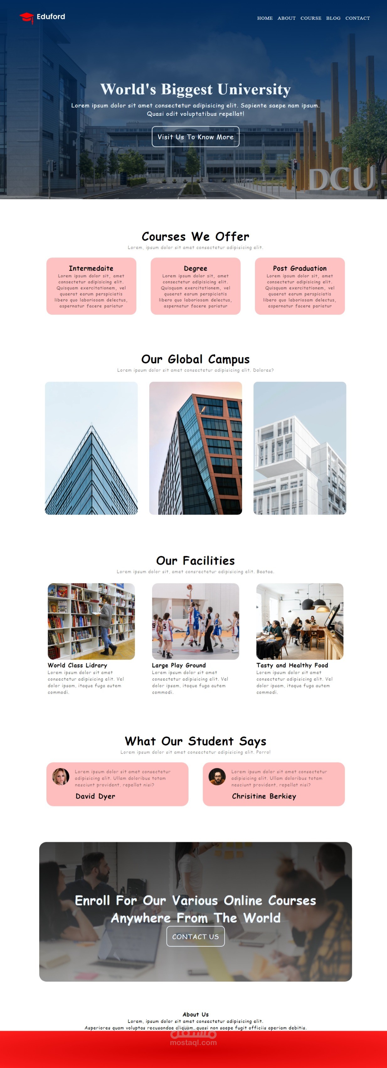 university website
