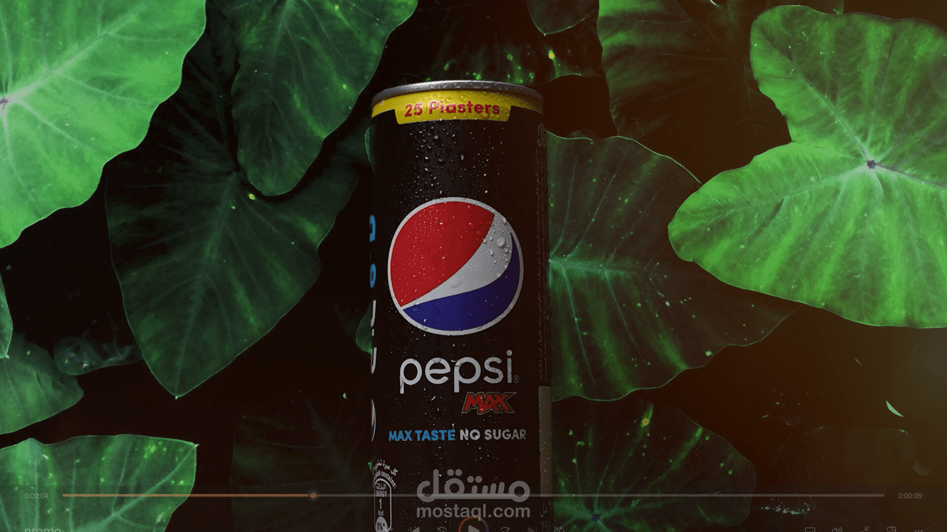 تصوير ومونتاج فيديو دعائي