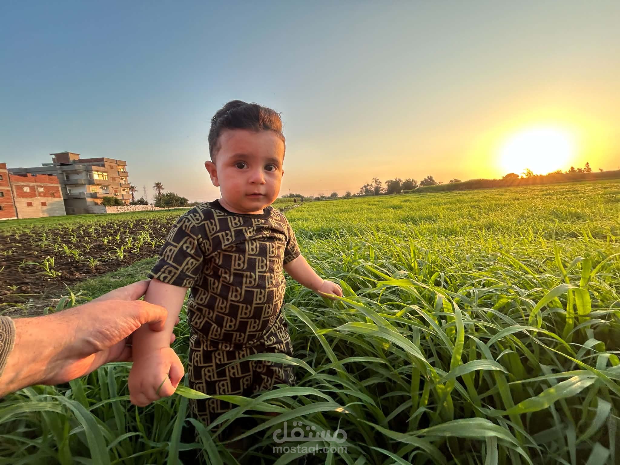 تصميم صوره