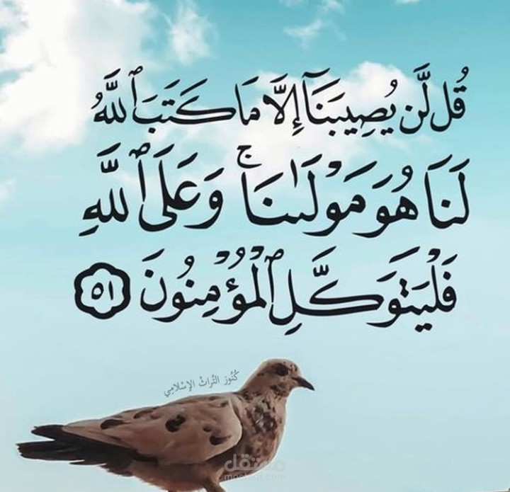 العمل عبر الانترنت