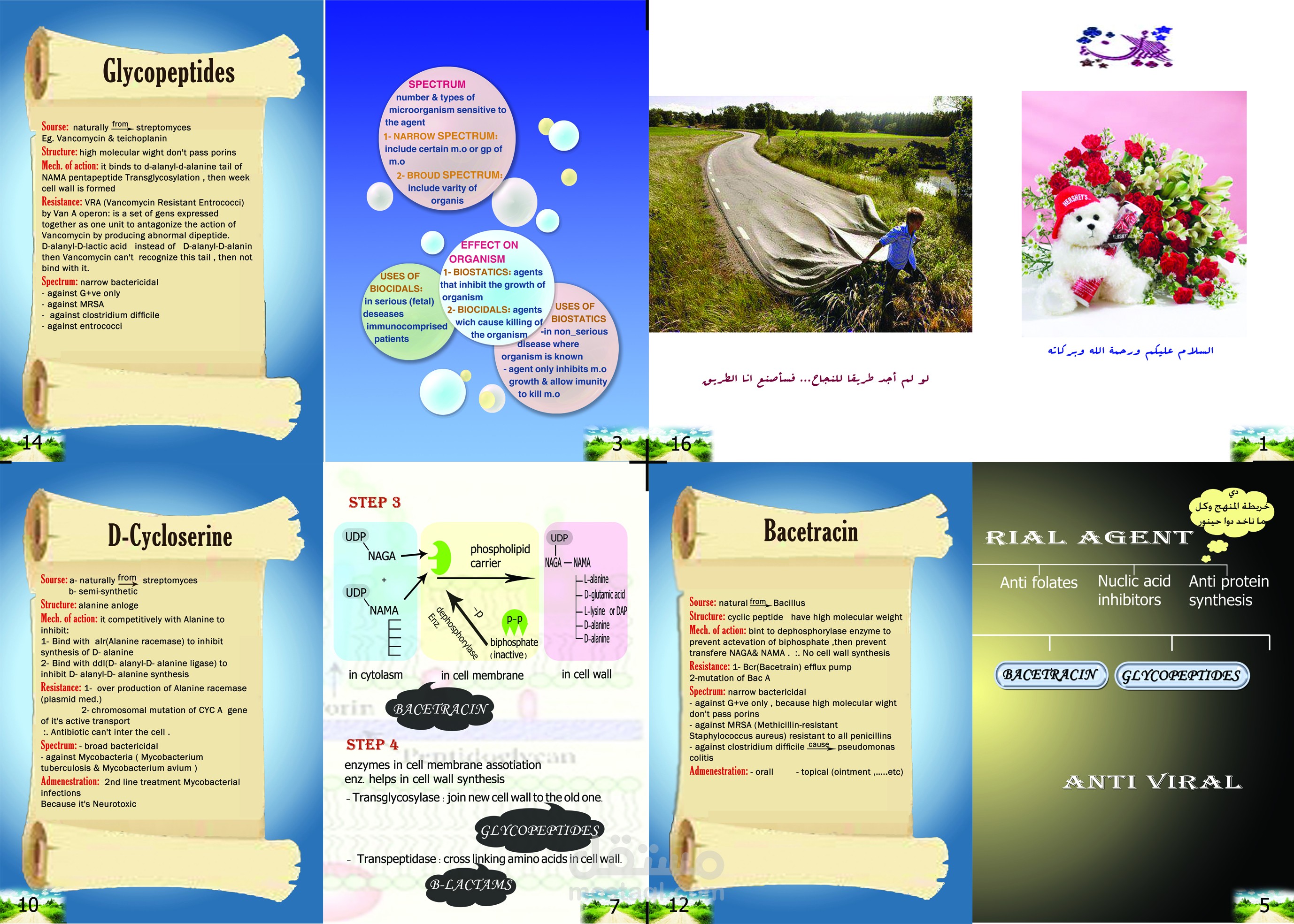 مونتاج لمجله علمية