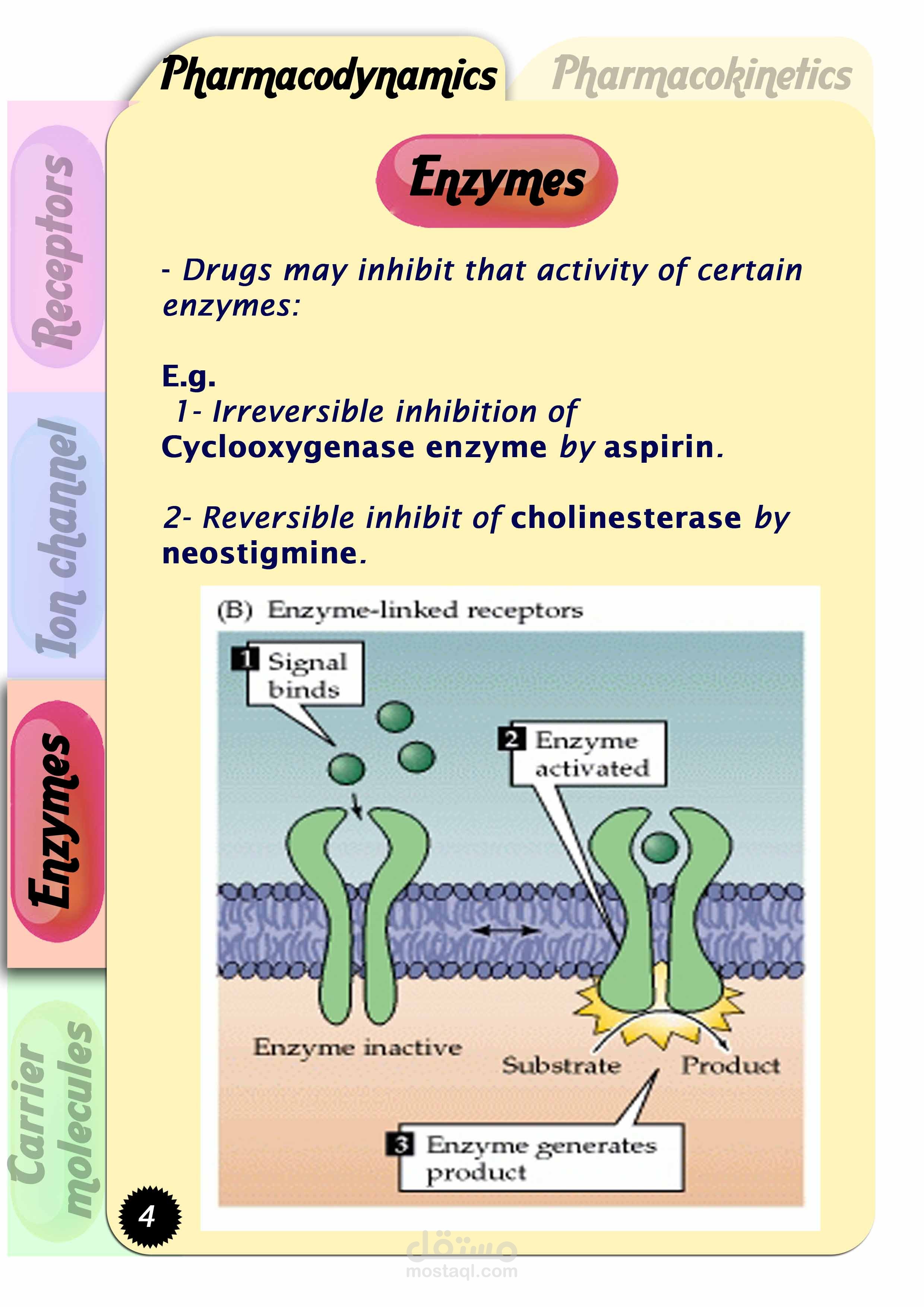 صفحه 4 من مجله تعليمية