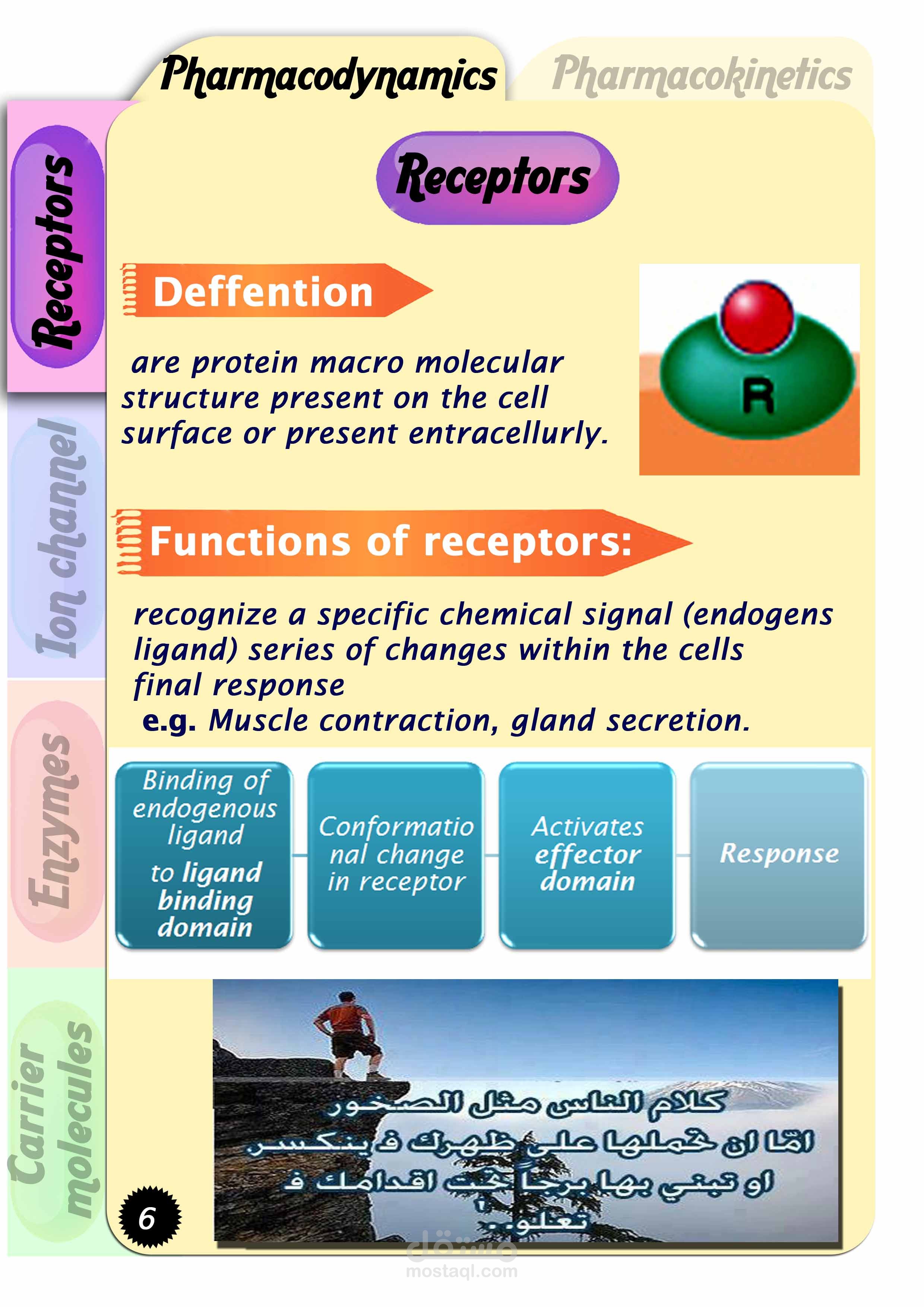 صفحه 5 من مجله تعليمية