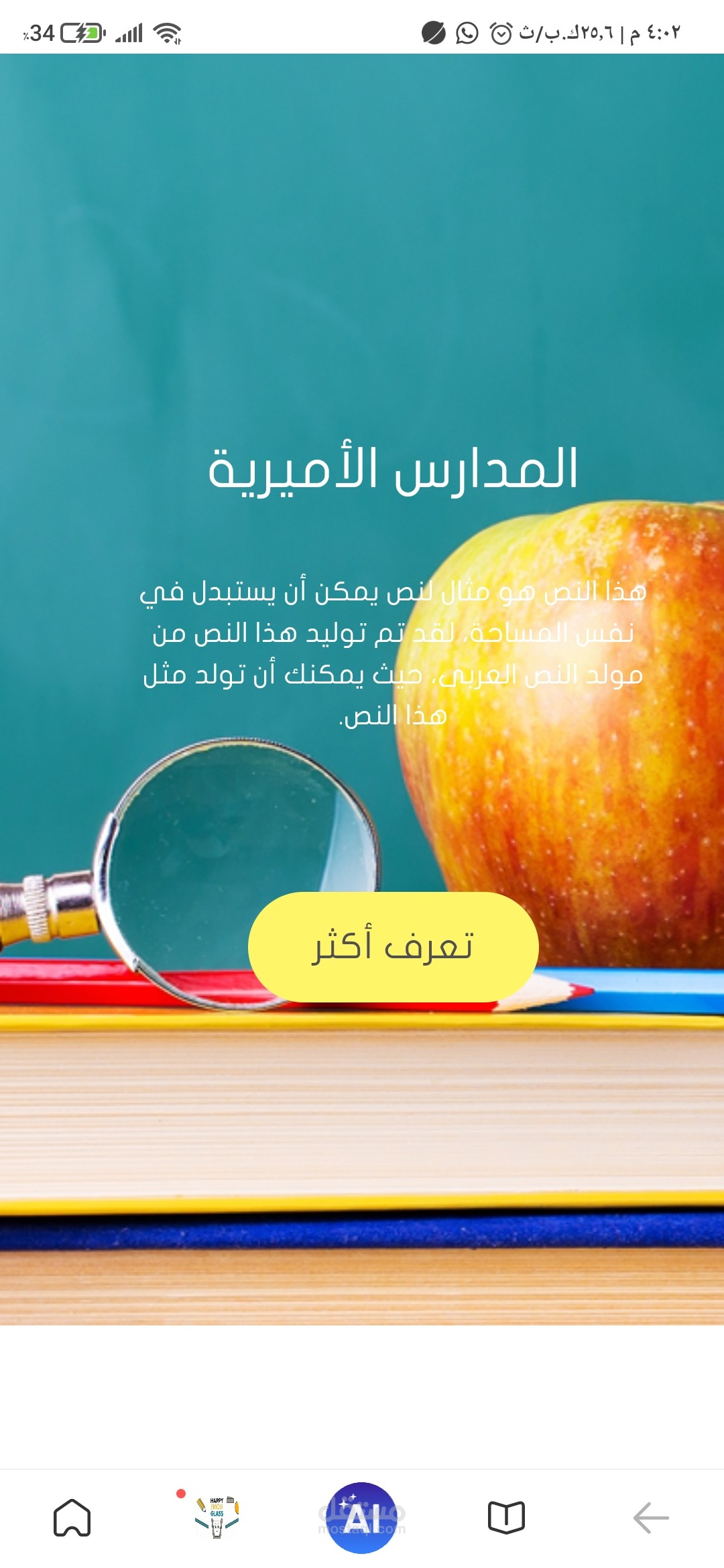 المدارس الاميرية