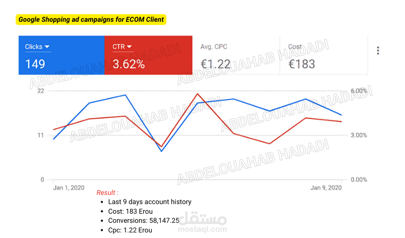 Google Shopping ad campaigns for ECOM Client