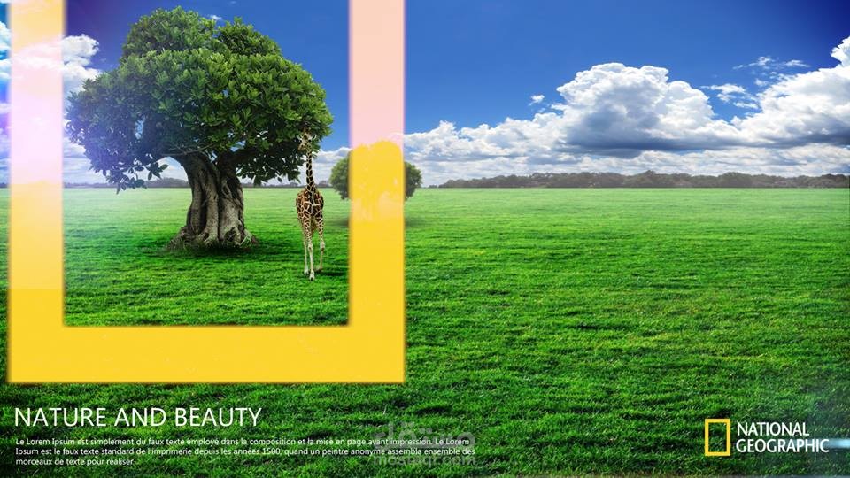 National Gergraphic Wallpaper concep