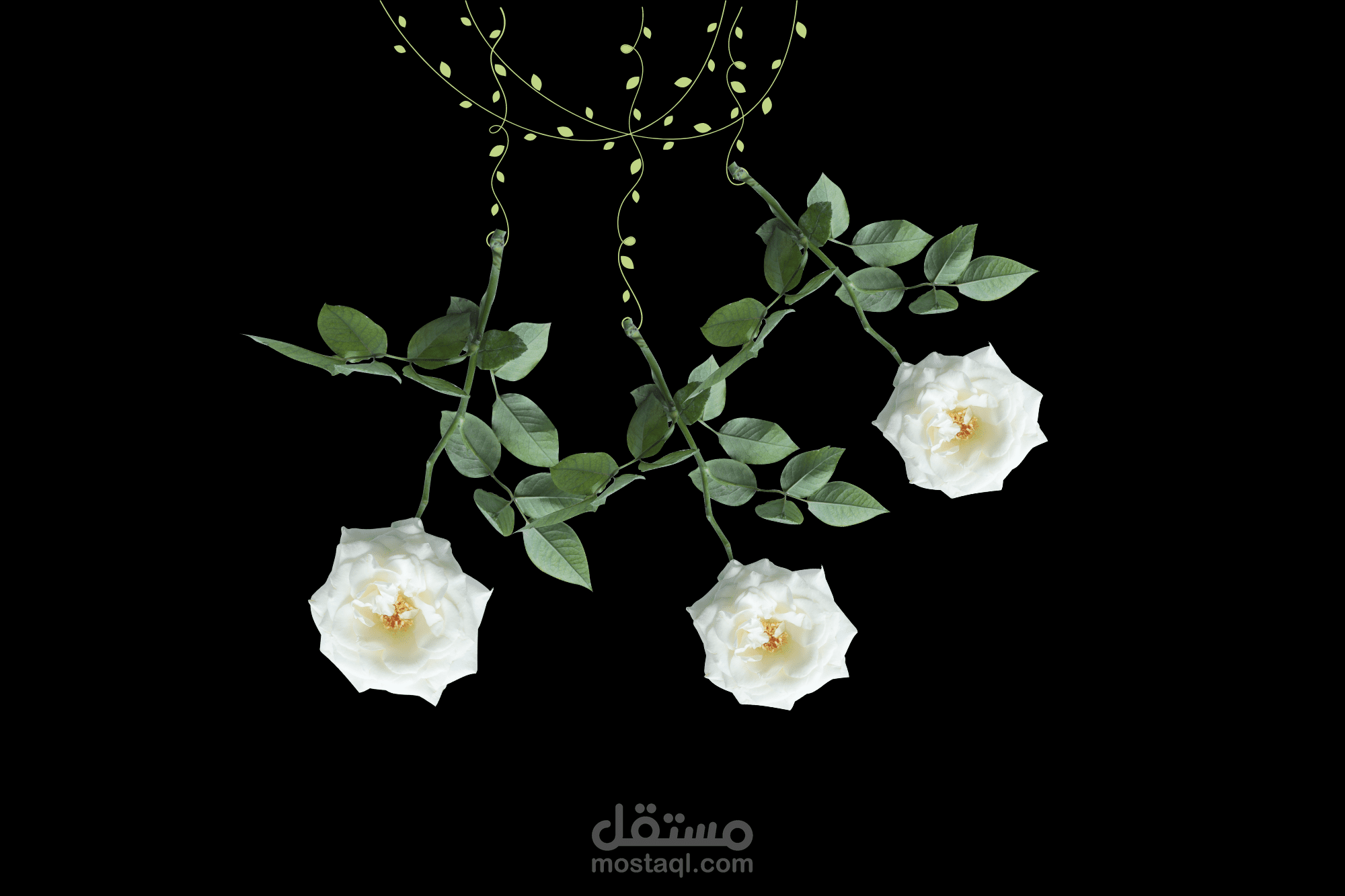 تصميم جرافيك