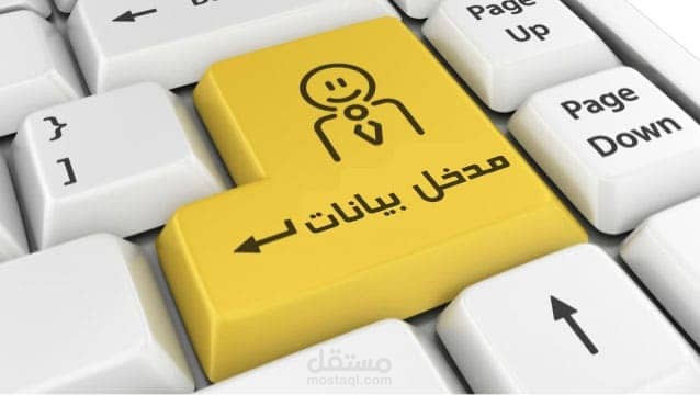 مدخل بيانات