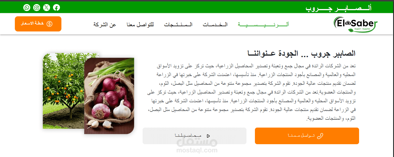 موقع خاص بشركة مصريه