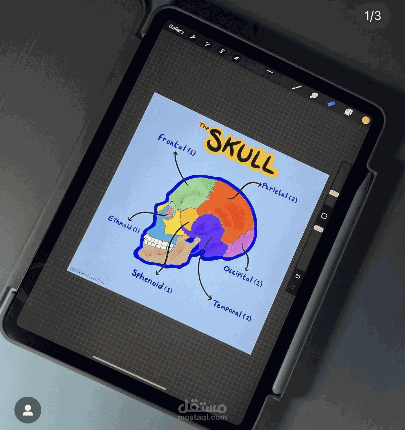 Medical Illustration - رسومات طبية