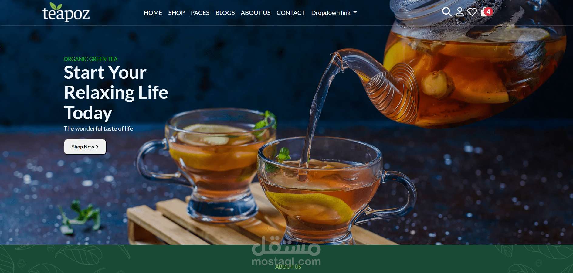 Leo Teapoz موقع تجاره الكترونيه