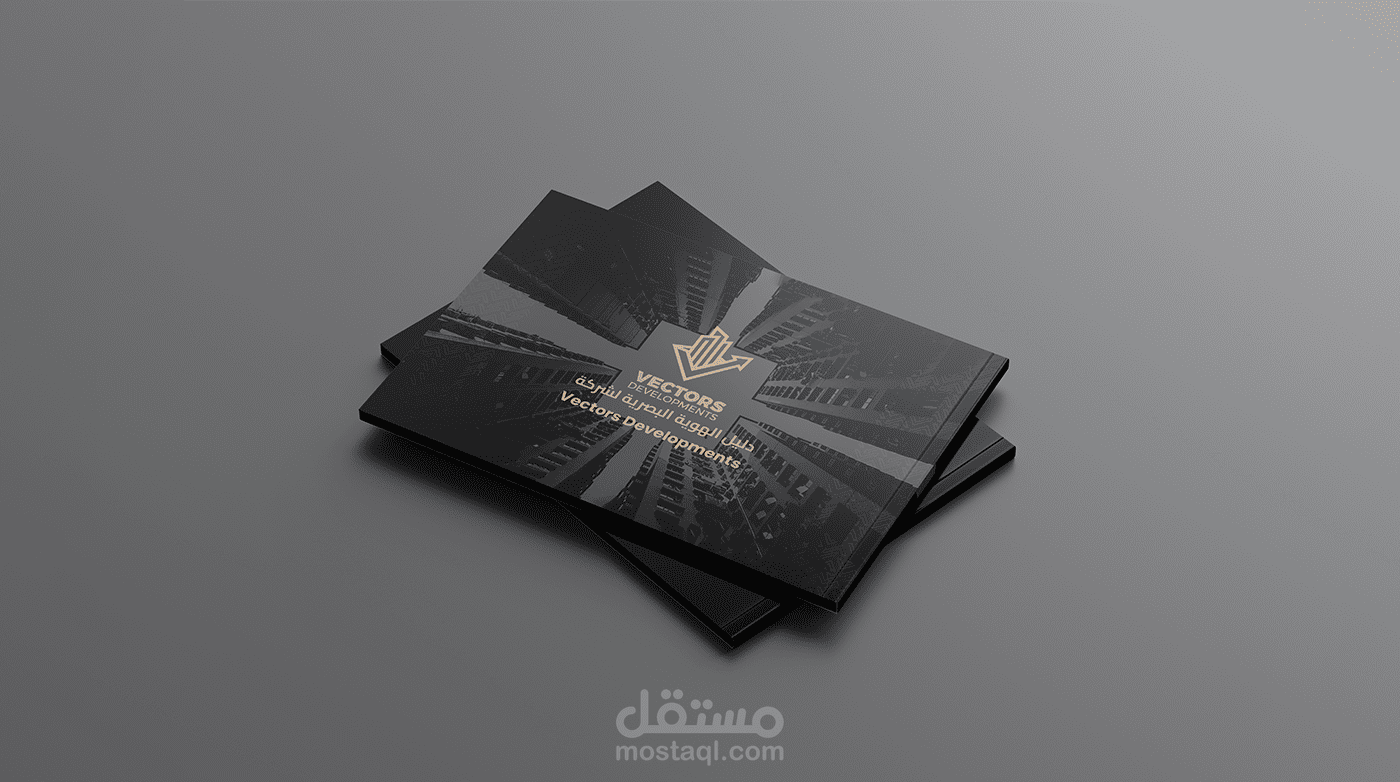 Vectors Developments company profile | brandguidlines