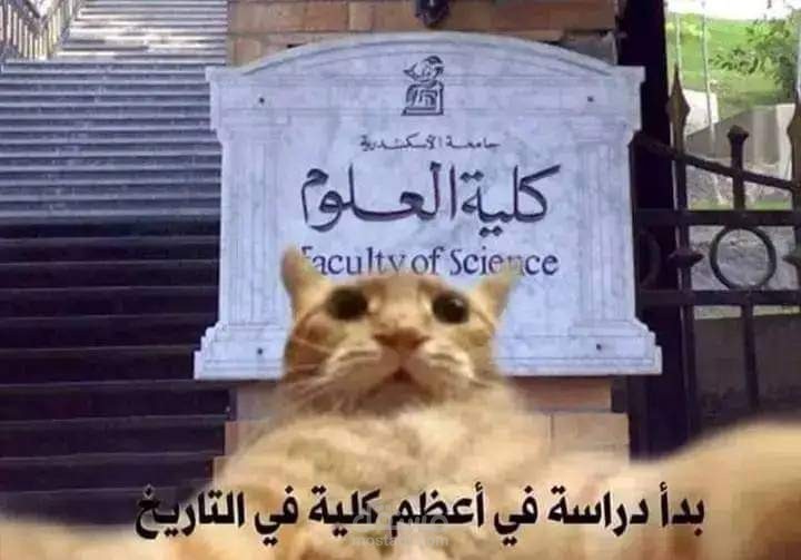 فوتشوب