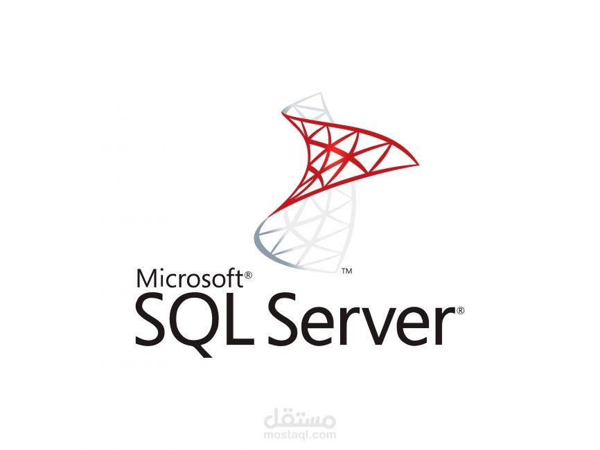 SQL Server Developer