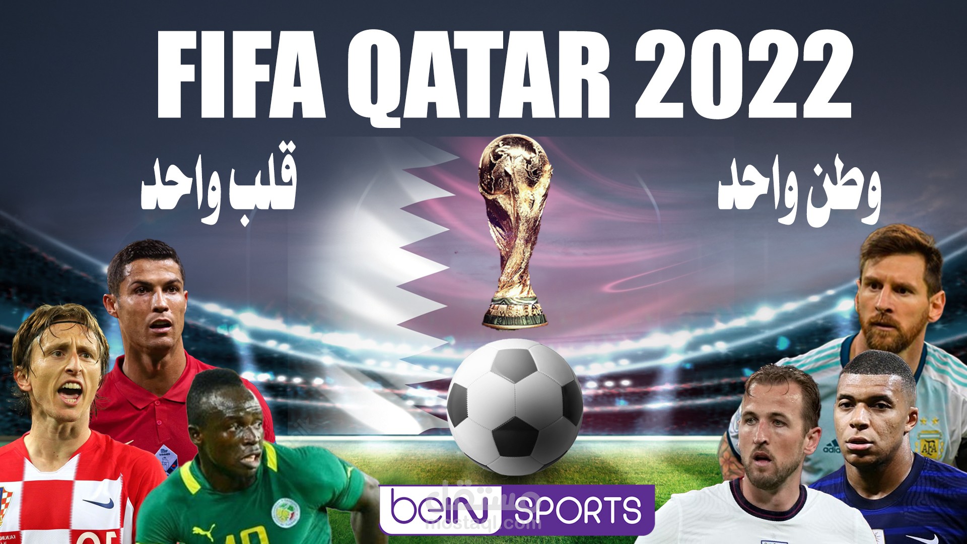 سوشيال ميديا