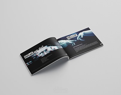 Company profile