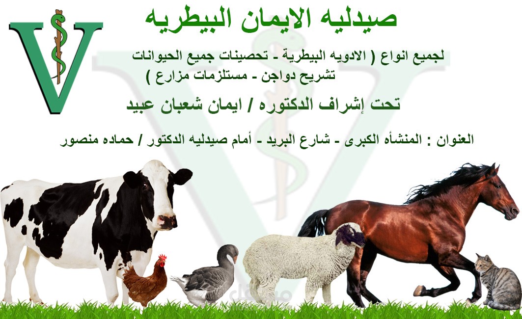 تصميم بوستر