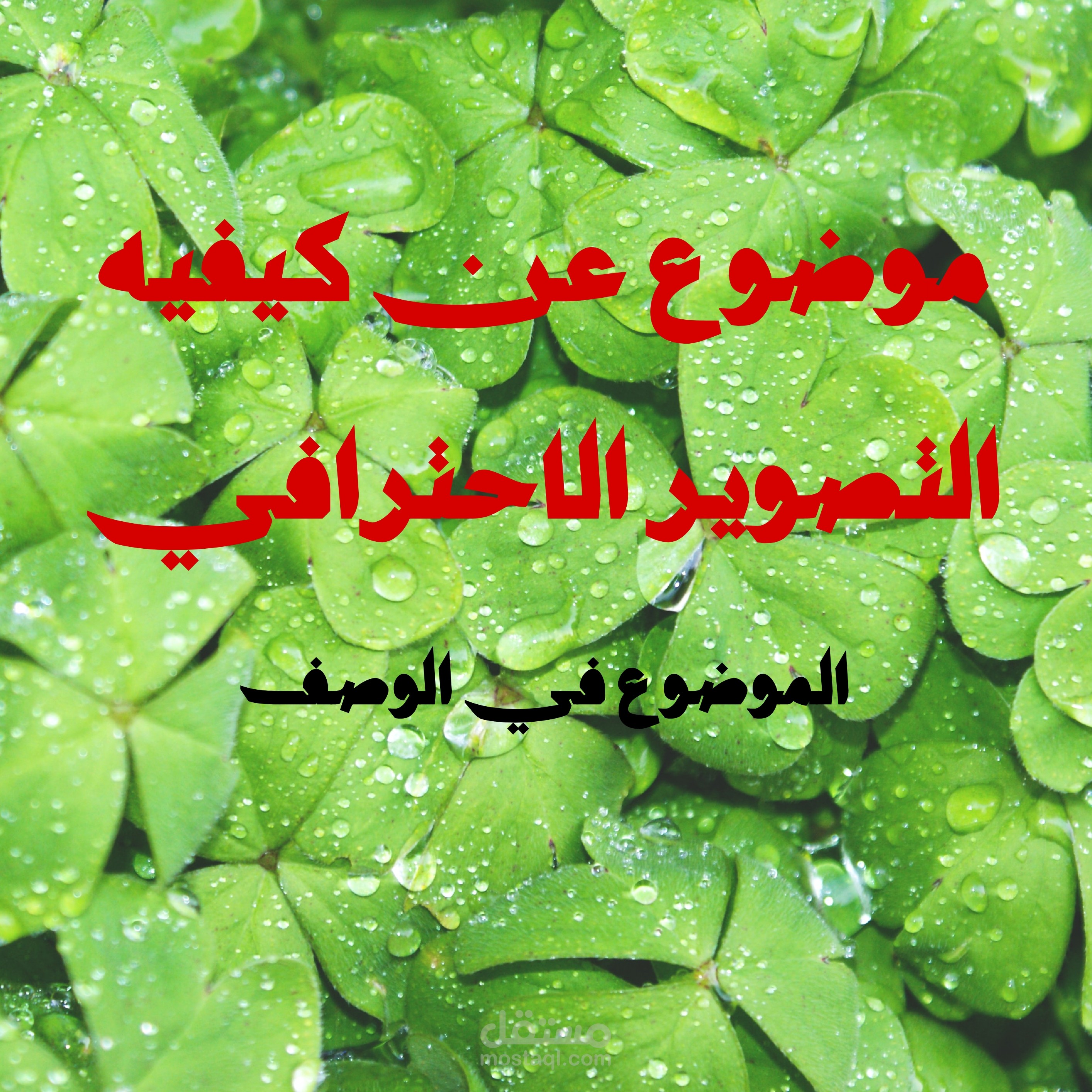 موضوع عن كيفيه التصوير الاحترافي