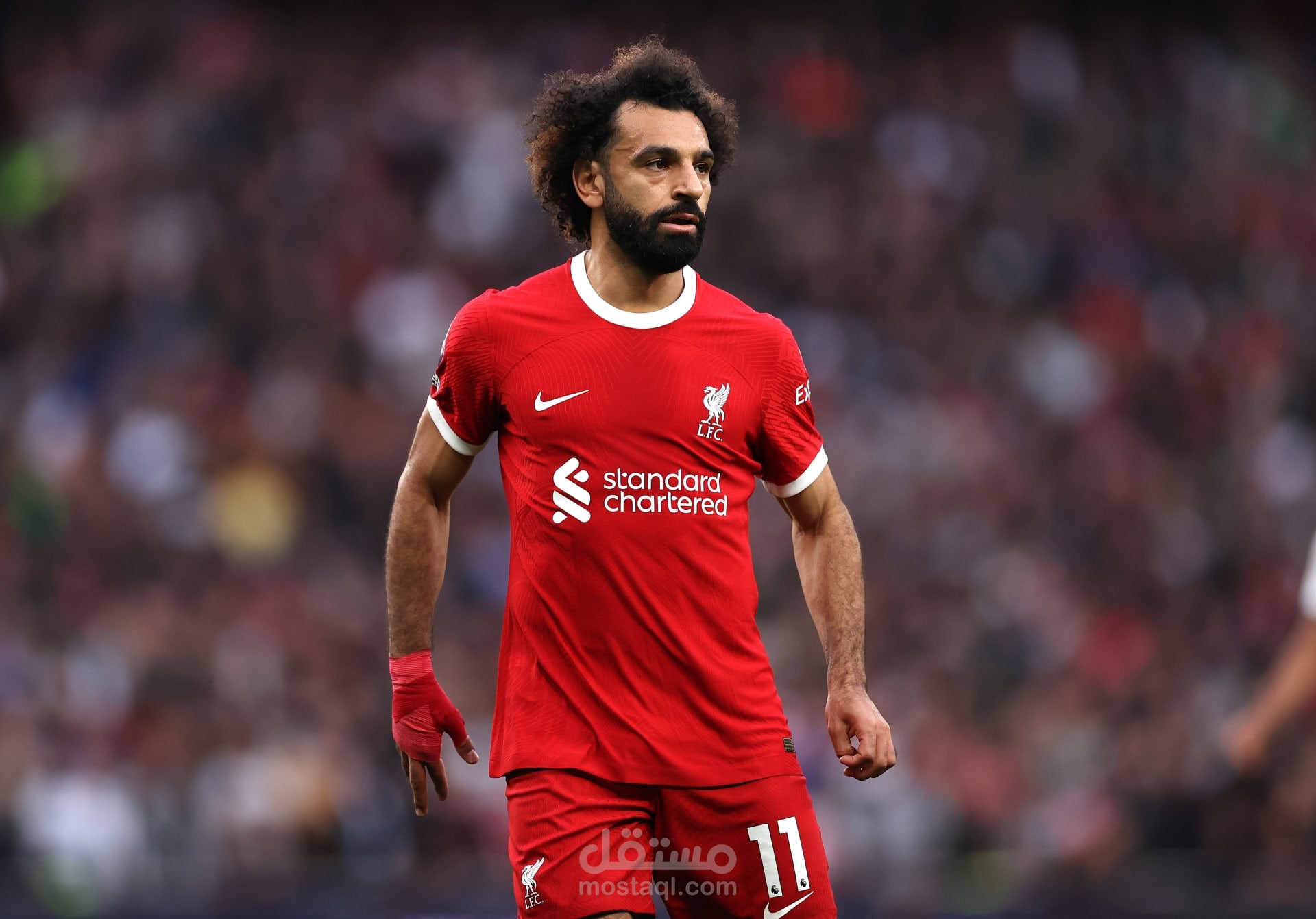 إلي العالمية