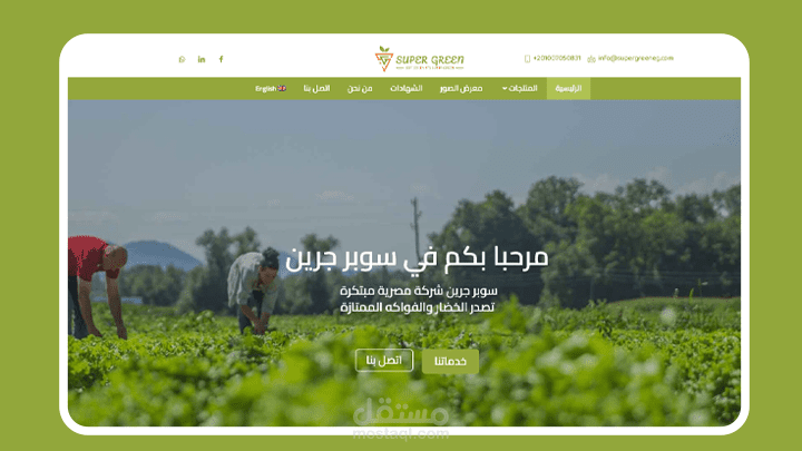موقع[ super green ] موقع تعريفي لشركة تصدير خضروات من مصر  موقع متعدد اللغات