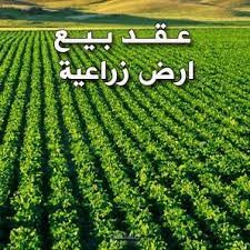 عقد شراء ارض زراعية