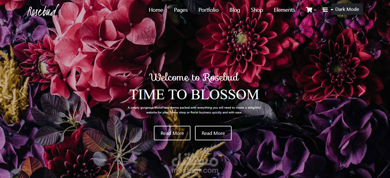 time_to_blossom