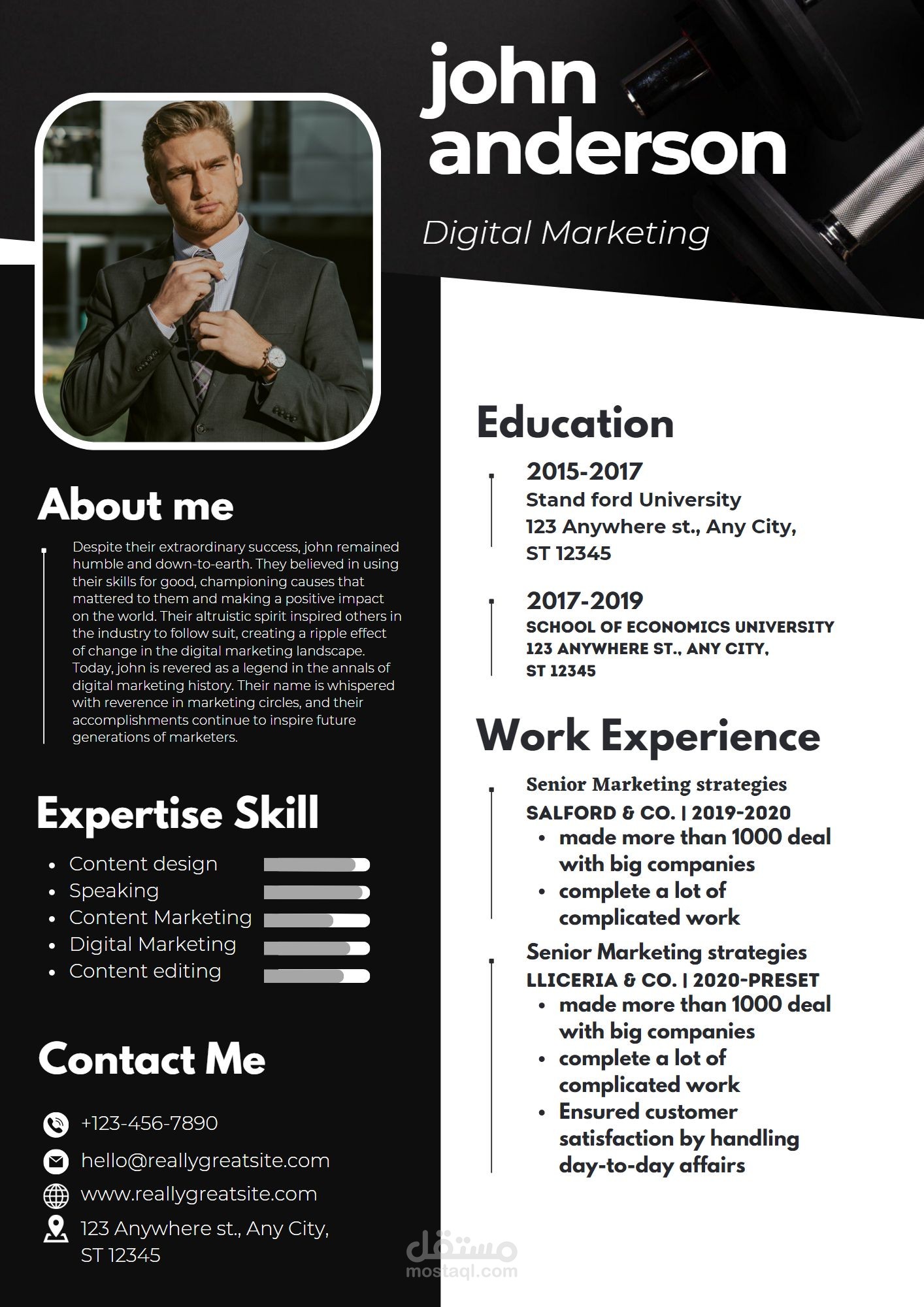 professional cv & resume / سيرة ذاتية احترافية