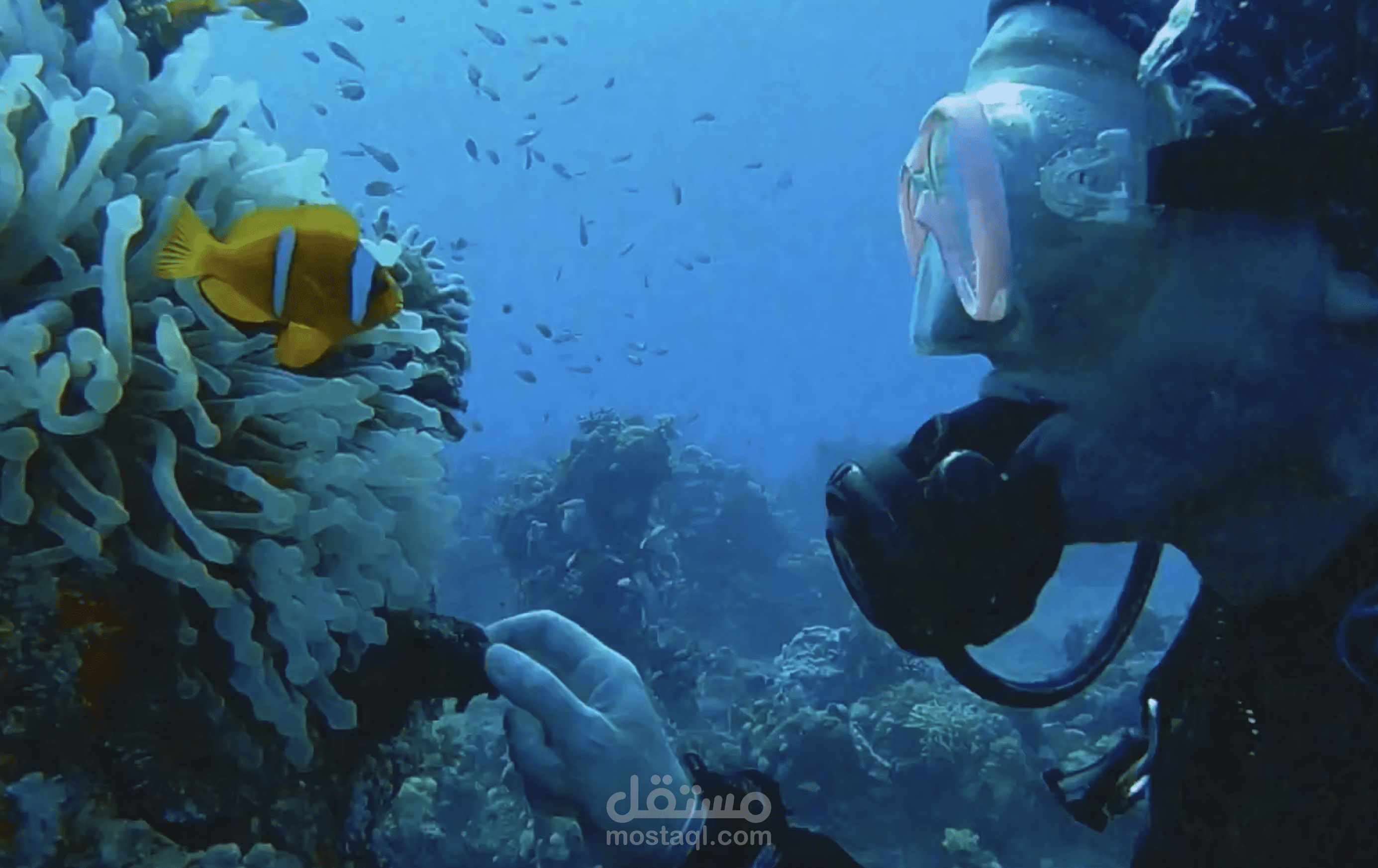 اعلان تحت الماءBlue Ocean 2023