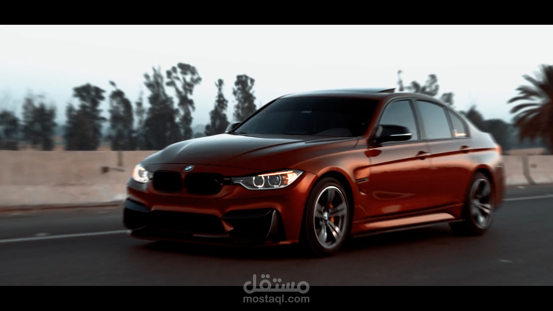BMW MONSTER