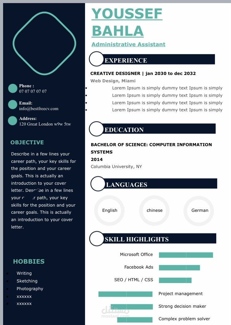 Design Infographic CV