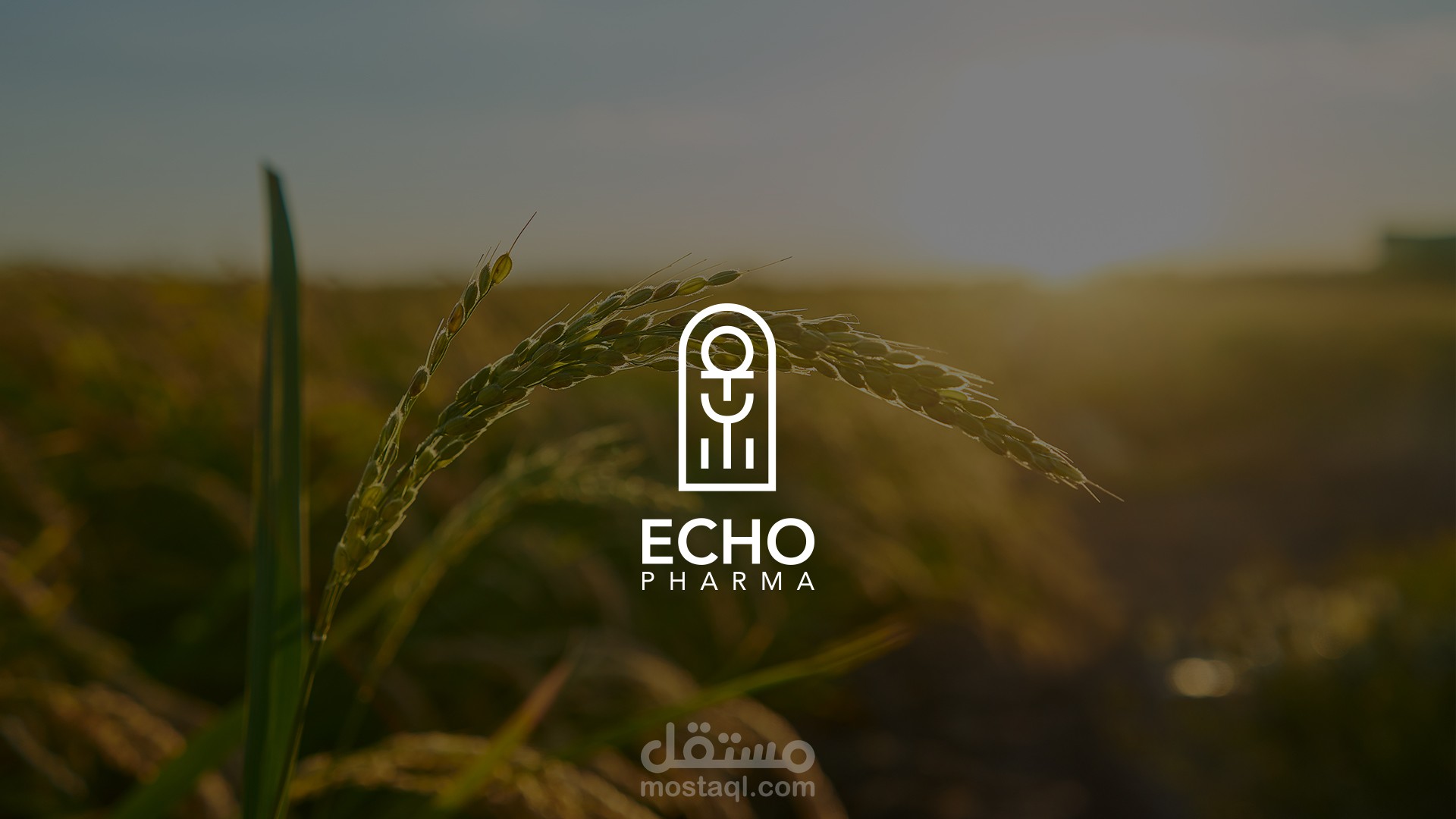 ECHO PHARMA