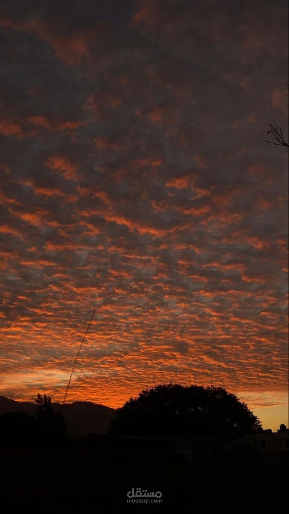 ترند عشوائي