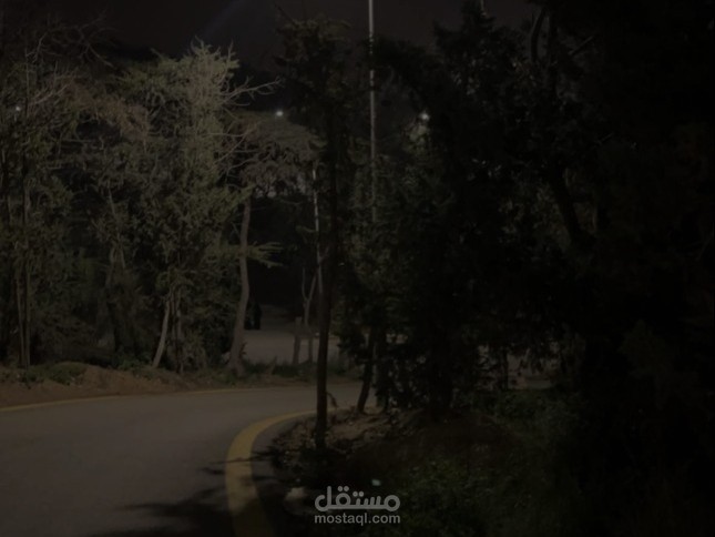 ترجمة فيديوهات ومقالات