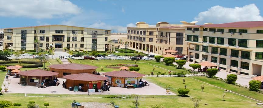 جامعة الدلتا