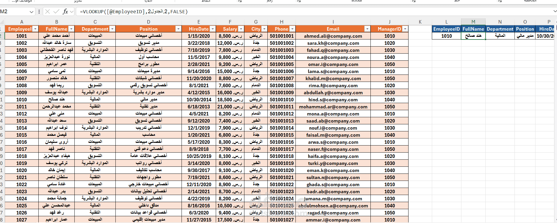 نظام هيكلة وإدارة قواعد بيانات الموظفين (Professional HR & Payroll Database)