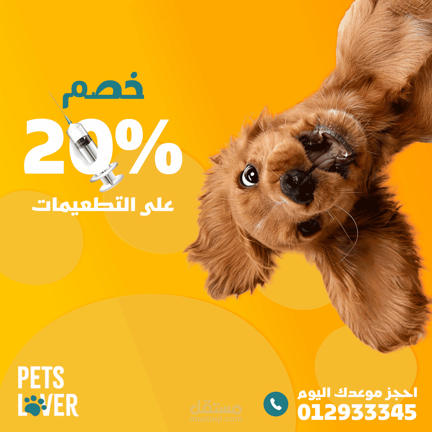 بوستات متجر اغراض حيوانات اليفه على منصة انستقرام