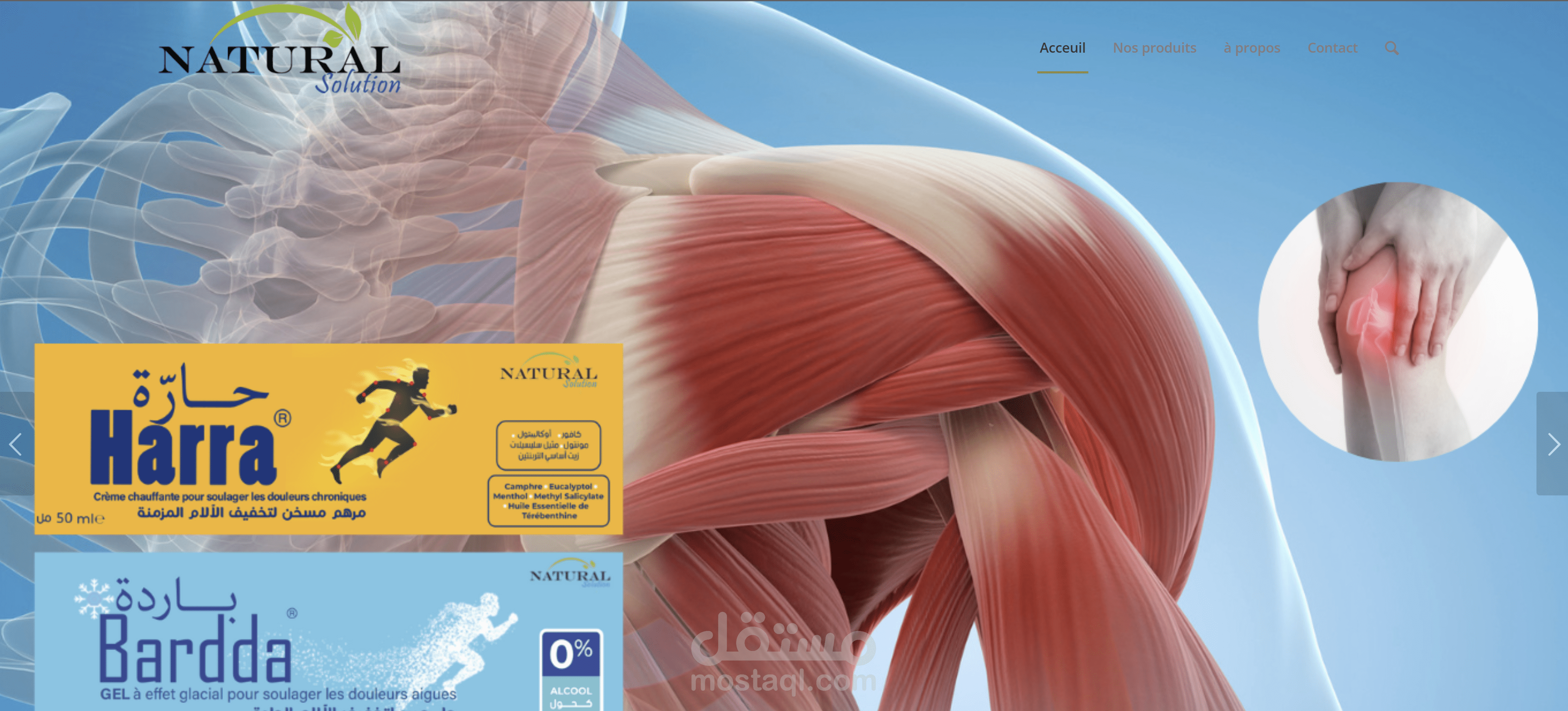 موقع إلكتروني لمعمل إنتاج الأدوية