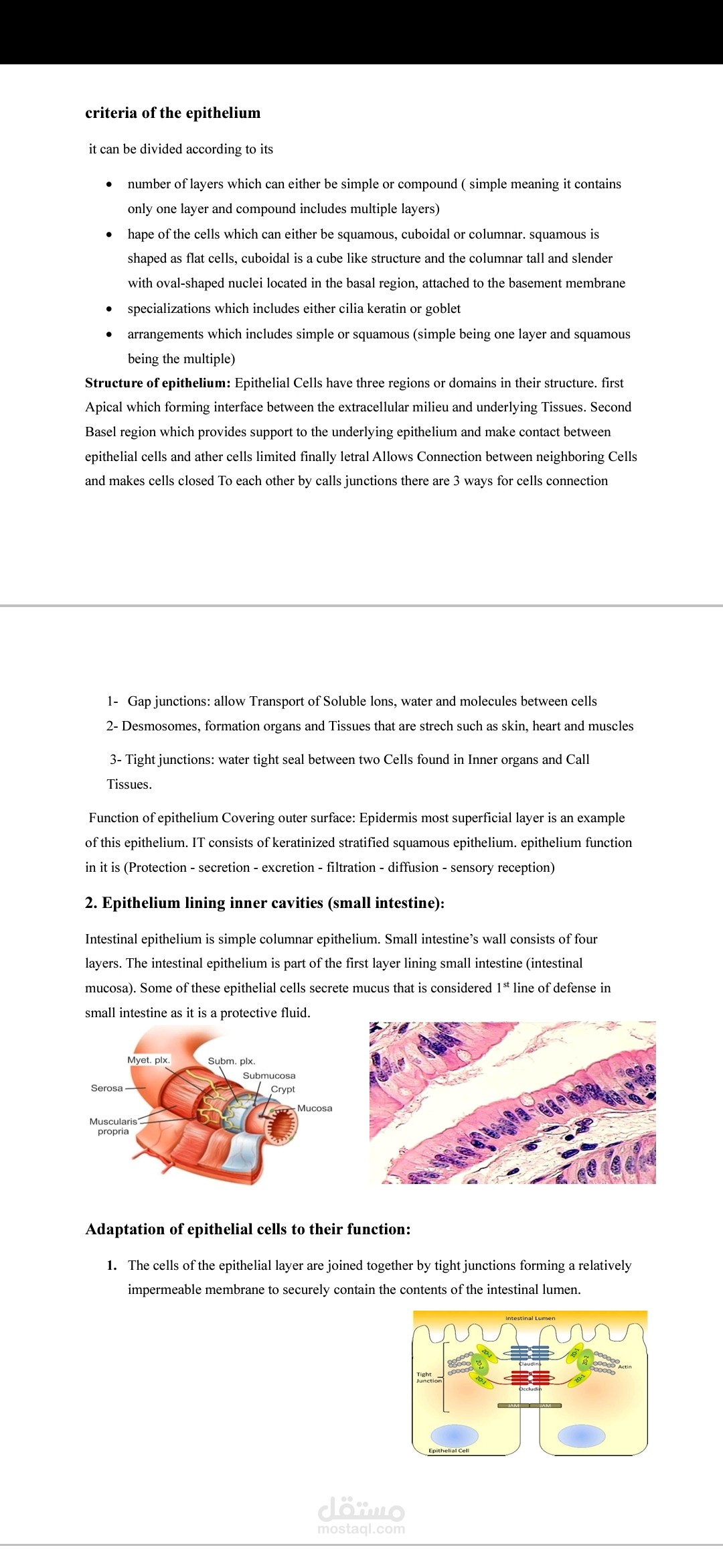 The criteria of the epithelium